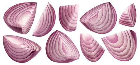 Sliced red onion isolated on white background with clipping path, full depth of fieldの写真素材