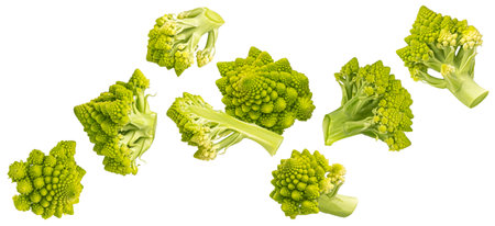 Falling romanesco cabbage isolated on white background with clipping path, full depth of fieldの写真素材