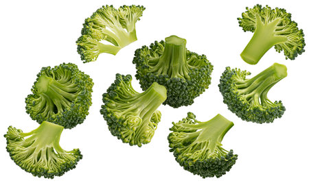 Falling broccoli isolated on white background with clipping pathの写真素材