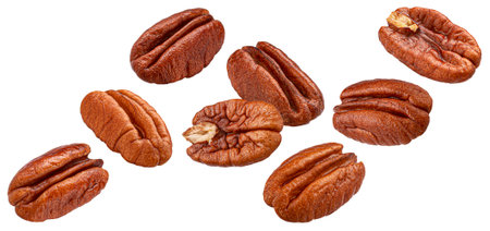 Falling pecan nuts isolated on white background with clipping path, package design element