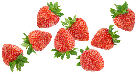 Falling strawberries isolated on white background with clipping path, fresh flying berries, full depth of field, package design elementの写真素材