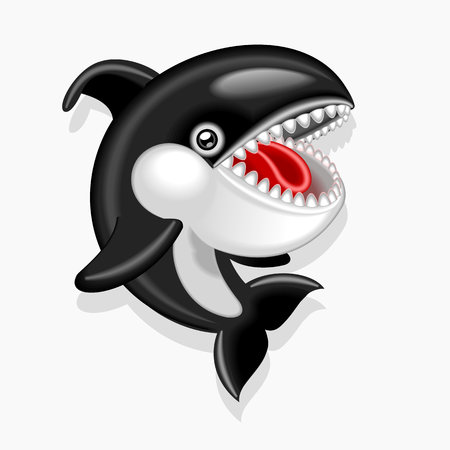 killer whaleのイラスト素材