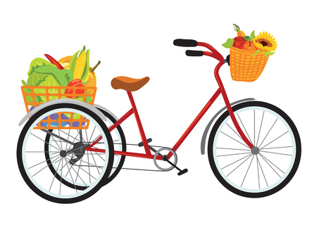 Farmer bike full of fruits and vegetablesのイラスト素材