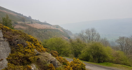 A panoramic view of a hillside covered with heatherの写真素材