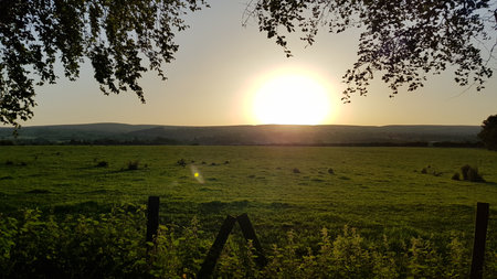 Sunset over a green field with trees and grass on the foregroundの写真素材