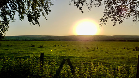 Sunset over a field with trees and a fence in the foregroundの写真素材