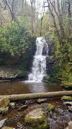 Small waterfall in the forest. Small waterfall in the forest. Waterfall in the forest.の写真素材