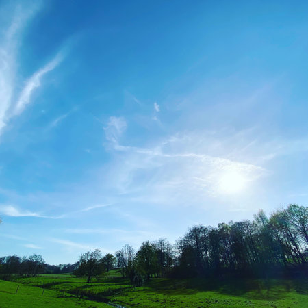 Beautiful spring landscape with green field and blue sky with white cloudsの写真素材