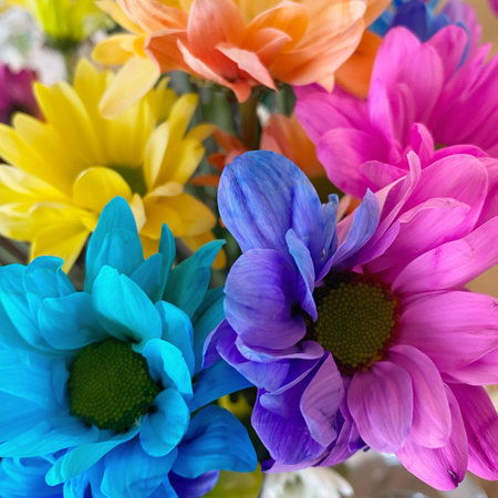 Colorful flowers bouquet as a backgroundの写真素材