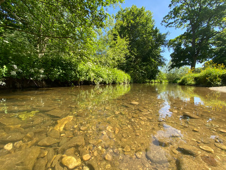 River in a sunny summer day. Landscape with river and trees.の写真素材