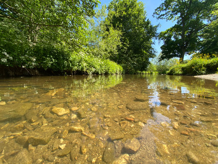 River in the forest on a sunny summer day. Landscape.の写真素材