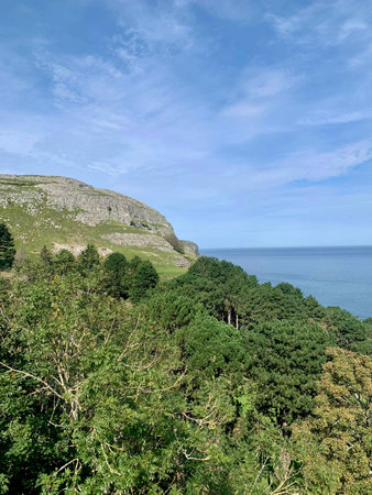 A view of the Jurassic Coast in Dorset on a sunny dayの写真素材