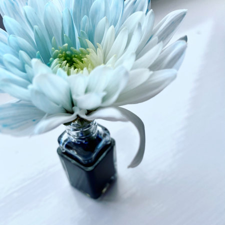 Blue flower in a vase on a white backgroundの写真素材