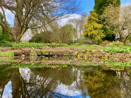 Flower garden in spring with reflection of trees and clouds in waterの写真素材