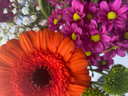 Beautiful bouquet of gerberas and daisies.の写真素材