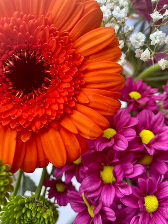 Colorful bouquet of gerbera flowers close-up.の写真素材