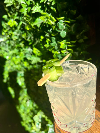 Cocktail with lime and ice on a wooden table in the gardenの写真素材