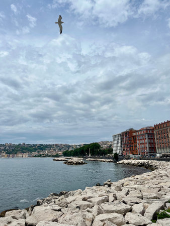 View of the city from the sea.の写真素材