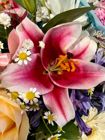 colorful bouquet of flowers close-up. asters and lilyの写真素材