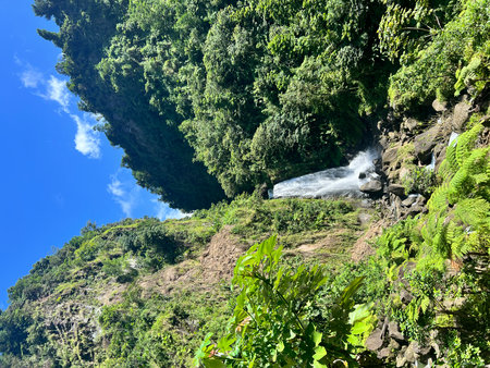 Waterfall in the jungle on a sunny day. Mauritius.の写真素材