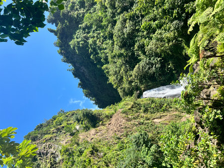 Beautiful waterfall in the jungle of Sumidero Canyon, Chipas, Mexicoの写真素材