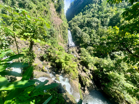 Waterfall in the mountains of Tenerife, Canary Islands, Spainの写真素材