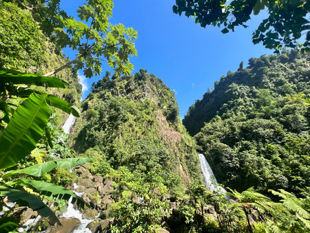 Beautiful waterfall in the jungle of the island of Mauritius.の写真素材