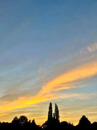 Sunset in Tuscany with cypresses and blue skyの写真素材
