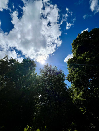Beautiful blue sky with white clouds and trees in the forest.の写真素材