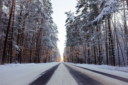 A snow covered road with trees in the background. The road is empty and the trees are bareの写真素材