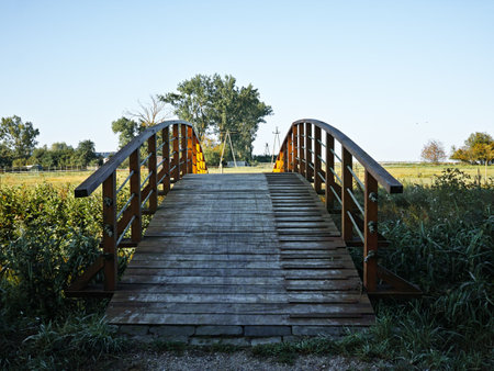 A wooden arch bridge in a park with autumn foliage in the background. High quality photoの写真素材
