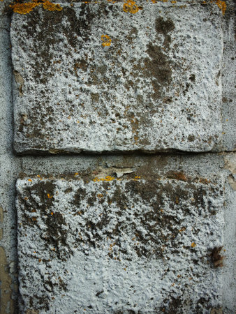 The surface is covered with patches of white and brown moss, lichen, and weather stains. Some areas exhibit peeling and erosion.の写真素材