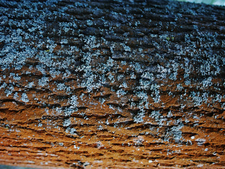 Processed collage of old black tree bark surface texture. Background for banner, backdrop or texture...