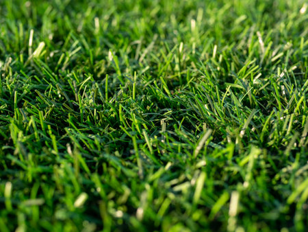 A lush green field of grass is spread out in a wide open area. The grass is short and vibrant, giving the field a fresh and inviting appearance. The field is located in a rural settingの写真素材