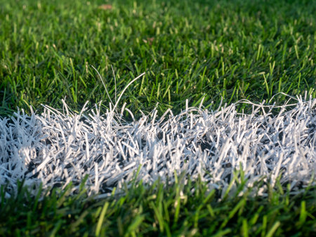 A white line is on the grass. The grass is greenの写真素材