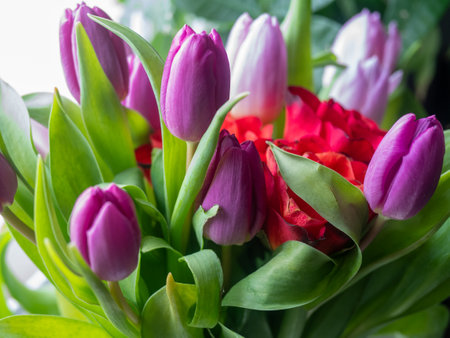 A bouquet of flowers with purple and red blooms. The purple flowers are in the center and the red flowers are on the right side. The arrangement is full and vibrantの写真素材