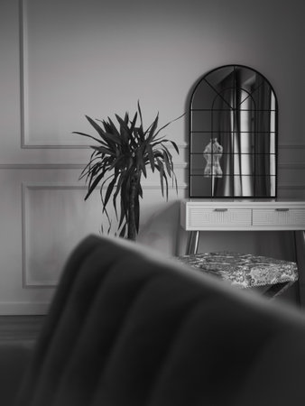 Black and white photo of a room with a mirror and a plant. The room has a modern and minimalist designの写真素材