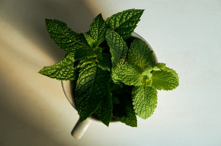 Small white cup with green mint leaves in it. The cup is placed on a white surface