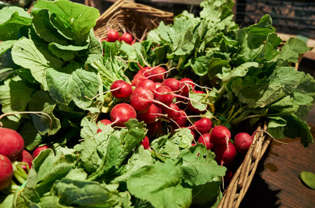 Basket filled with a variety of radishes and green leaves. The radishes are of different sizes and...
