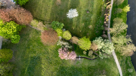 Green field with trees and a path. The trees are in various stages of growth, with some in full bloom and others still budding. The grass is lush and green, and the path winds through the trees. Drone viewの写真素材