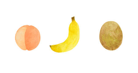 fruit set watercolorの写真素材