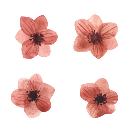 drawing watercolor set of red flowersの写真素材