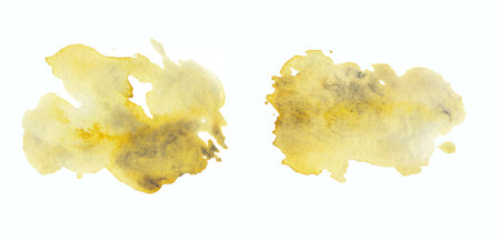 yellow mustard watercolor stainsの写真素材