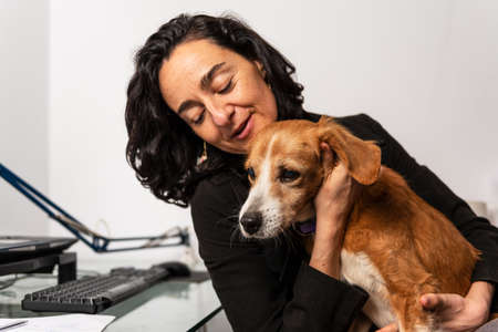 woman who works from home plays with her dog.の写真素材