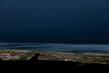 landscape of shadow cast on the beach with the silk effect seaの写真素材