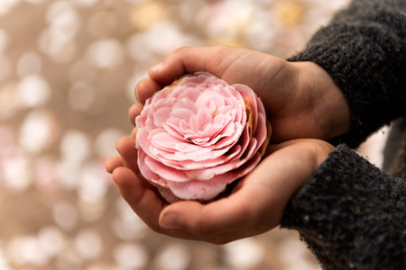 Close-up of a childrens hands carefully holding a flower.の写真素材