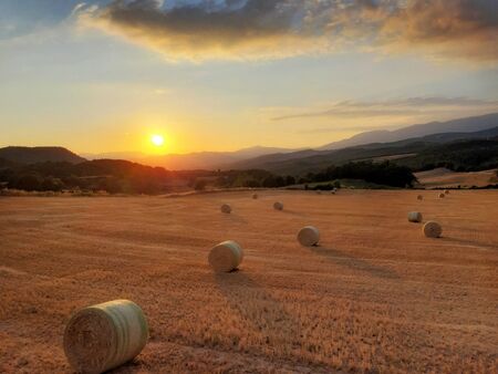 Sunset in the fieldの写真素材