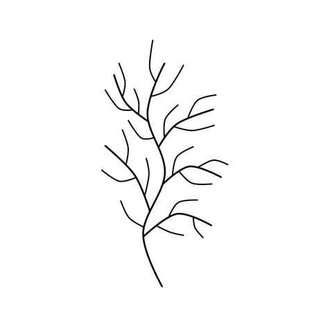 A handwritten set of simple twigs on a white background. A set of simple doodle twigsの写真素材