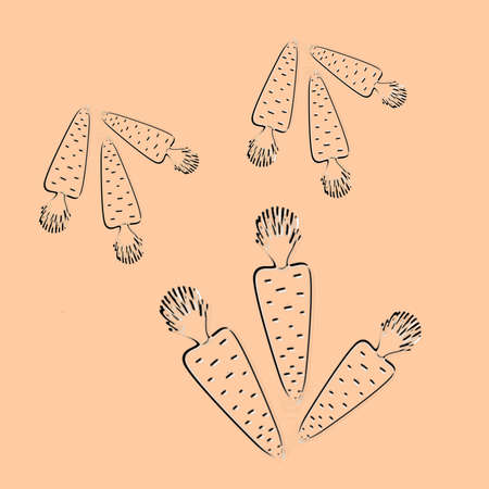 Illustration of carrots in the style of doodles. A pattern with three carrots. A bitmap image of a...