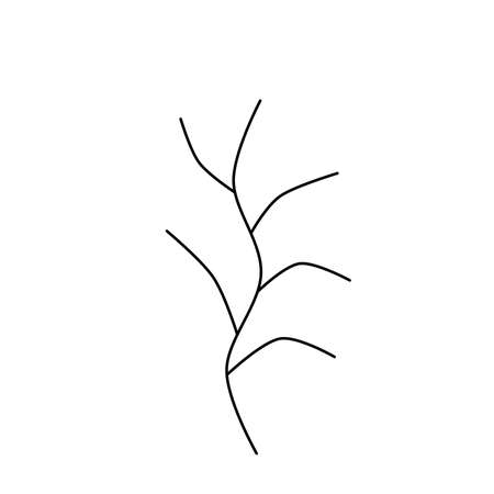 A handwritten set of simple twigs on a white background. A set of simple doodle twigsの写真素材